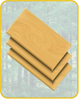 ��(x��)ľ�����Ԕ��(x��)��B