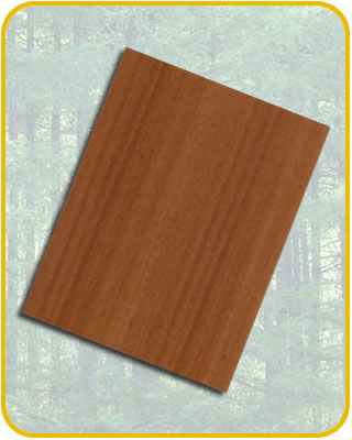 �t���ҵ�Ԕ��(x��)��B