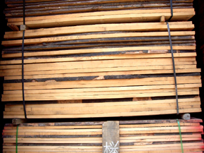 ��ľ��ĵ�Ԕ����B