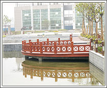 ����ľ��Ԕ����B