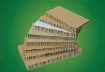 ��C����(���_�r�|)