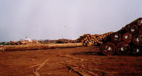 �c(di��n)���鿴�tľ�Ŵ�DƬ