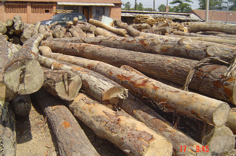 ����ԭľ��Ԕ��(x��)��B