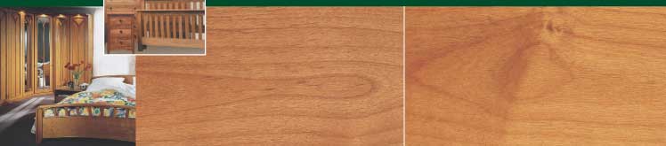 ����(��)ľAlder���塢�����Ҿߣ�