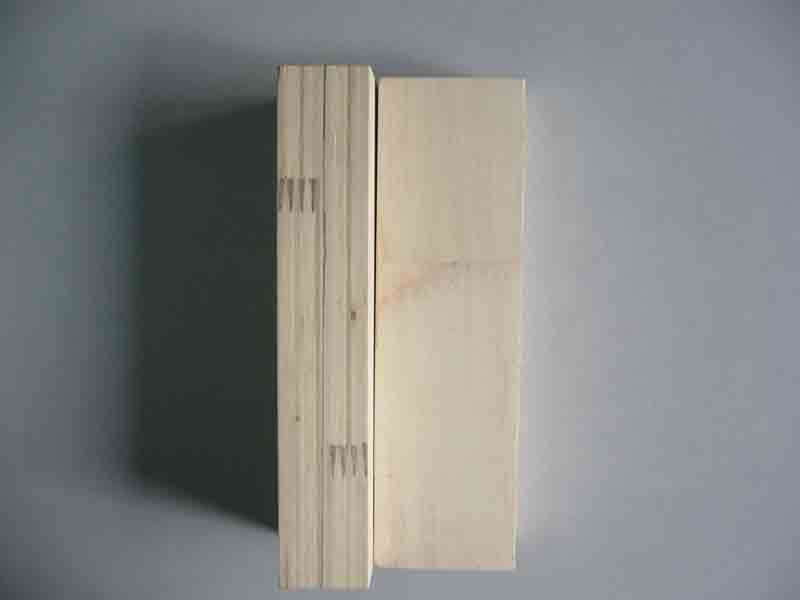 �c(di��n)���鿴��ľLVL�Ŵ�DƬ