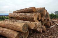 ���NҎ(gu��)���䏲ĵ�Ԕ��(x��)��B