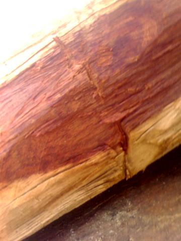 �c���鿴�t����Ŵ�DƬ