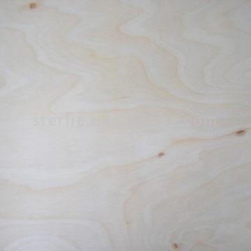 ���(l��i)��ľ����ľ�z�ϰ��Ԕ��(x��)��B