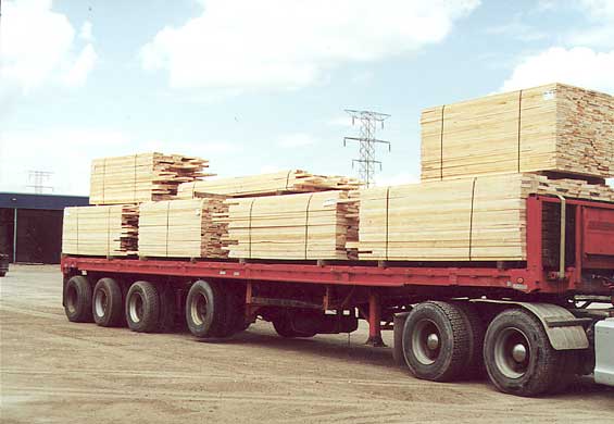 �ӗ���Ԕ����B