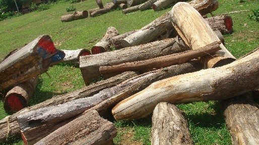 �c(di��n)���鿴�t��֦2�Ŵ�DƬ