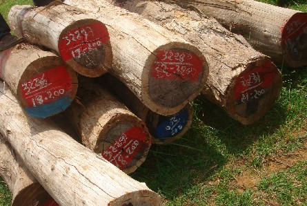 �c(di��n)���鿴�t��֦1�Ŵ�DƬ