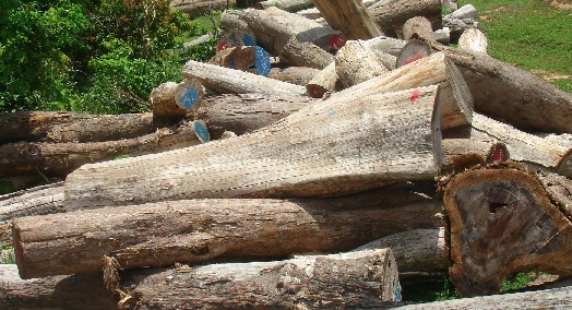 �c(di��n)���鿴�t��֦4�Ŵ�DƬ