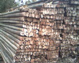 ��ܰ��Ԕ����B