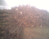 ԭľ��Ԕ����B