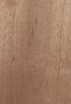 Ⱦɫ��ľƤ��Ԕ��(x��)��B