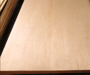 �c(di��n)���鿴��ľ�z�ϰ�Ŵ�DƬ