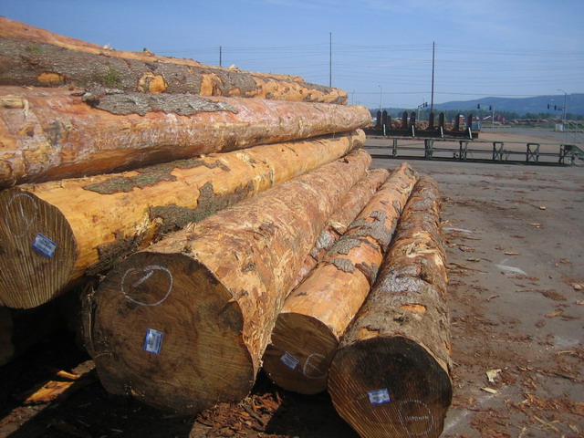 �Fɼ������ԭľ��Ԕ��(x��)��B