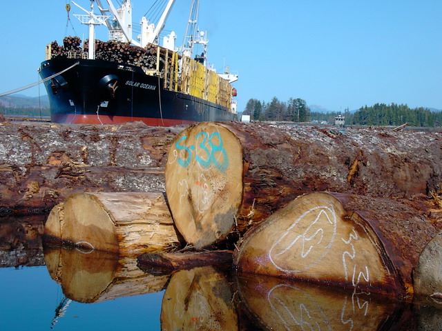 ��ɼԭľ��Ԕ��(x��)��B