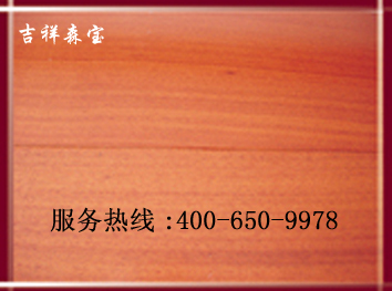 �һ�оľ�ذ�