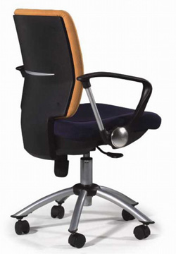 �T�ε�Ԕ����B