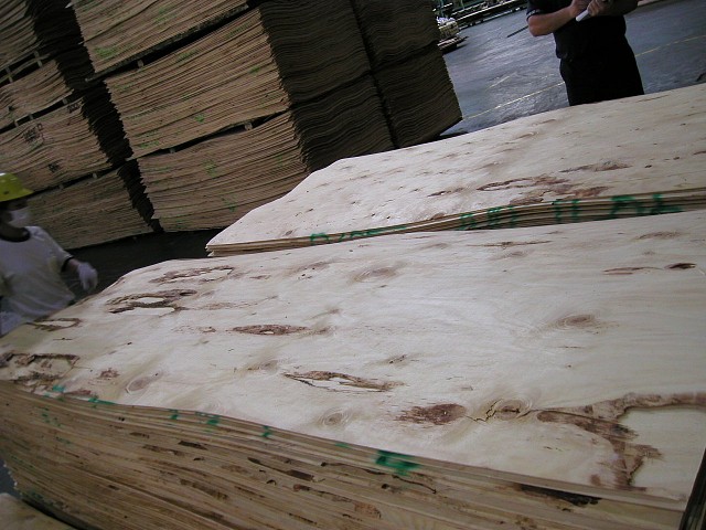 ݗ���Ɇΰ��Ԕ����B