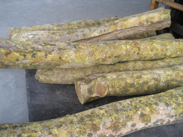 �G̴PALO SANTO��Ԕ��(x��)��B