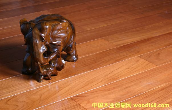 ��ľ��Ԕ����B