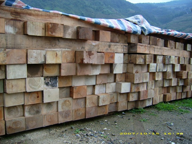 ��ľ��Ԕ��(x��)��B