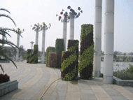 ���w���������w������Ԕ��(x��)��B