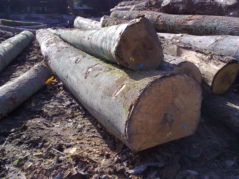 �W�ޙ�ľB/C��ԭľ��Ԕ����B