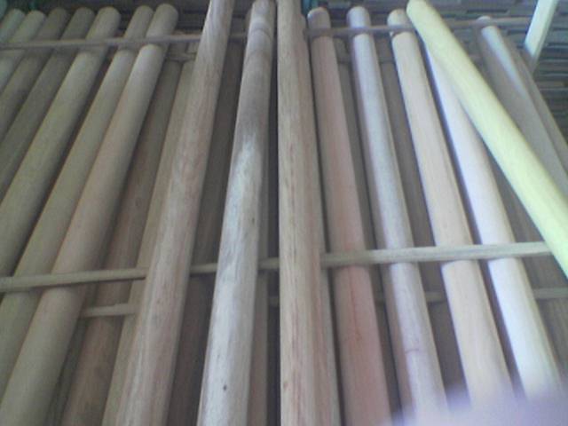 ����ľ�������������Ԕ��(x��)��B