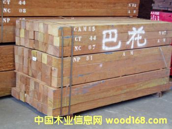 �����M(j��n)�ڰͻ�ľ����Ԕ��(x��)��B