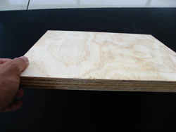 �c���鿴ʮ�����Ŵ�DƬ