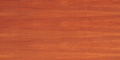 ����tľ��Ԕ����B