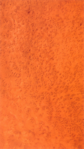 �����Ș�����Ԕ����B