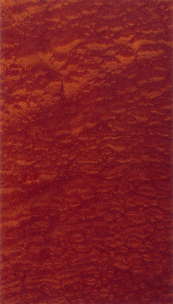 ɯ����.��������Ԕ����B