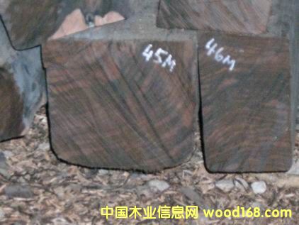 ӡ���̴ľ��Ԕ��(x��)��B