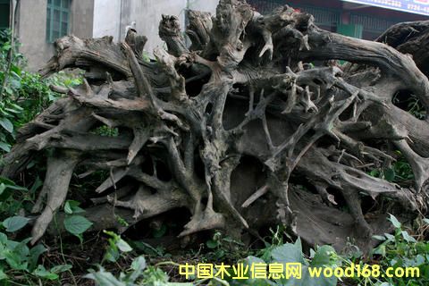 ꎳ�ľ-5��Ԕ��(x��)��B