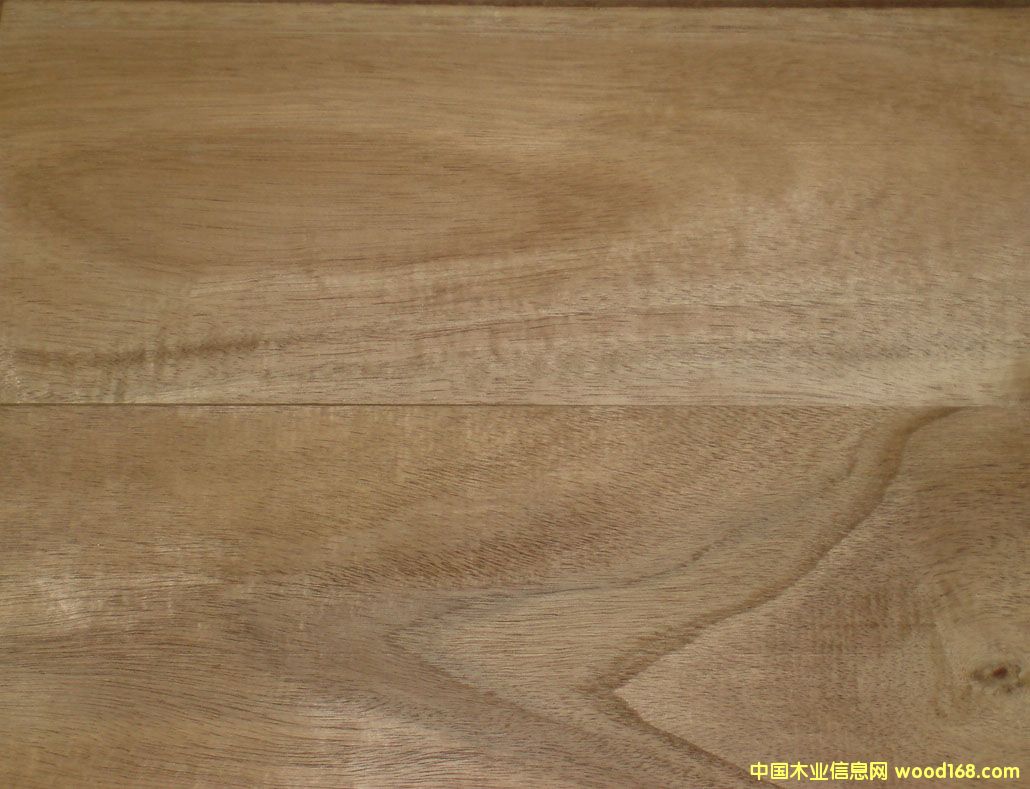 ��˼ľľ�����ذ��ϵ�Ԕ��(x��)��B