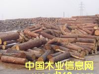 ���~��ԭľ��Ԕ��(x��)��B