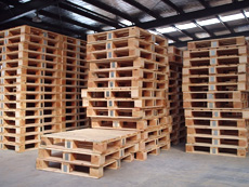 �����z�ϰ��бP���|�}(c��ng)����؛�P��������z�ϰ��бP��Ԕ��(x��)��B