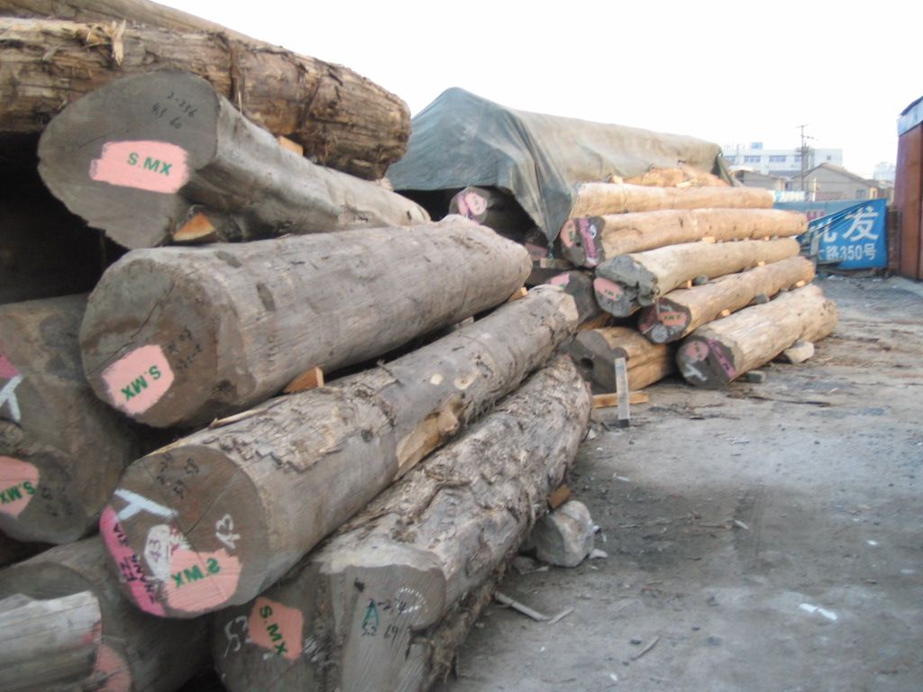 �c(di��n)���鿴��ľ�Ŵ�DƬ