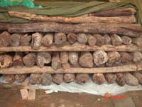 С�~��̴��Ԕ��(x��)��B