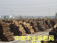 �c(di��n)���鿴�����ں���ԭľ�Ŵ�DƬ