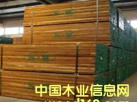 �c(di��n)���鿴�ں��Ұ�ķŴ�DƬ