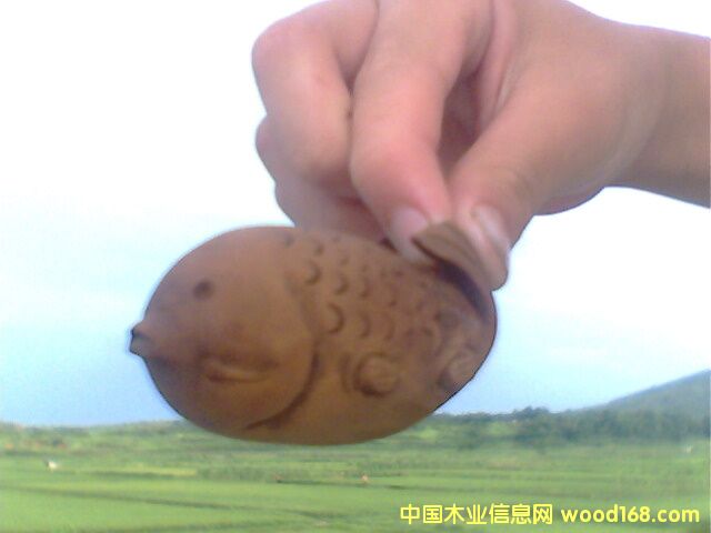 �~��Ԕ����B