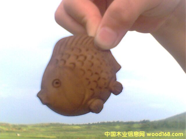 �~��Ԕ����B