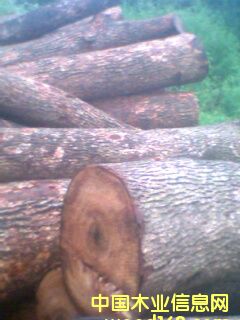 ����ľԭľ��Ԕ����B