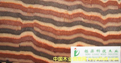 �tˮ���yDL-608��Ԕ����B