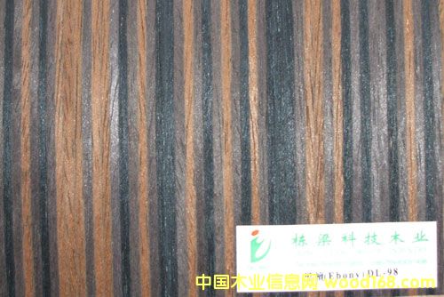 ��̴DL-98